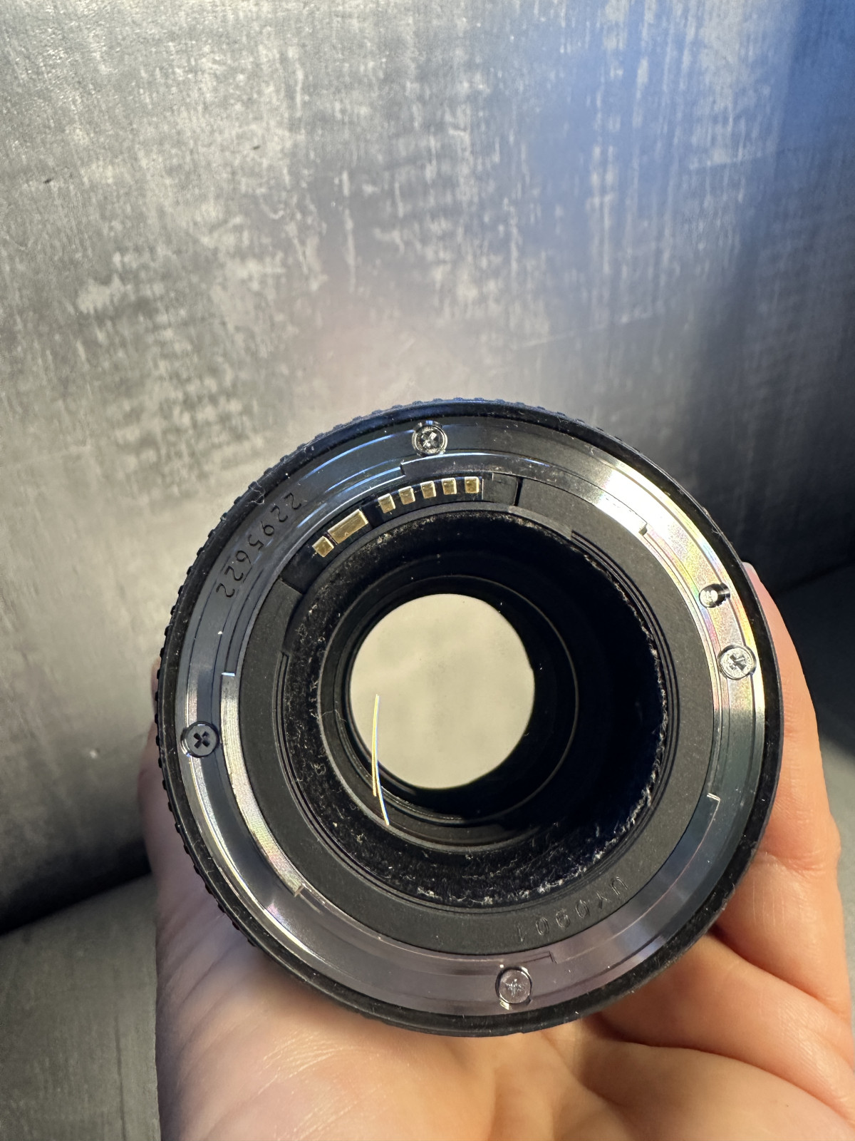 Objectif Canon 100 mm macro