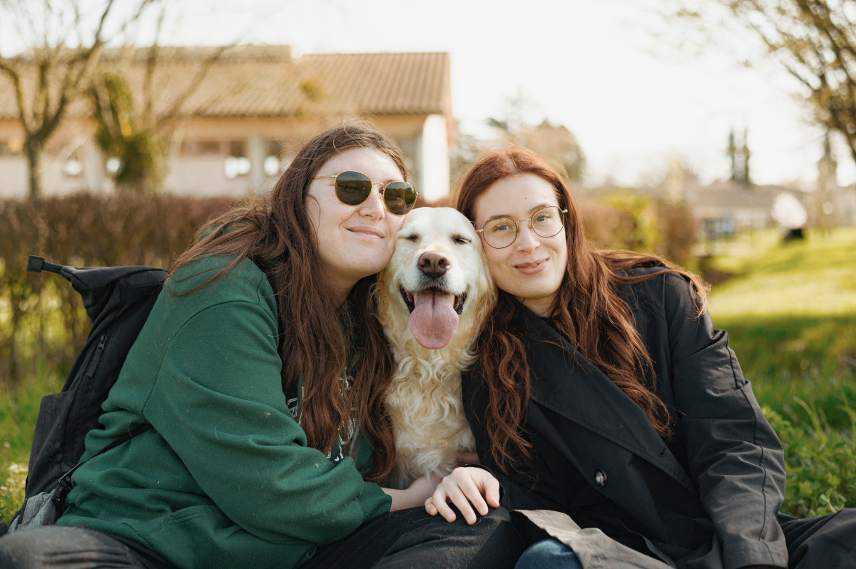 Petite séance photo canine sous ce beau soleil !
Merci @nicolasnavrot ☀️🧡