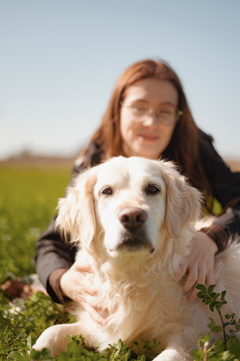 Petite séance photo canine sous ce beau soleil !
Merci @nicolasnavrot ☀️🧡
