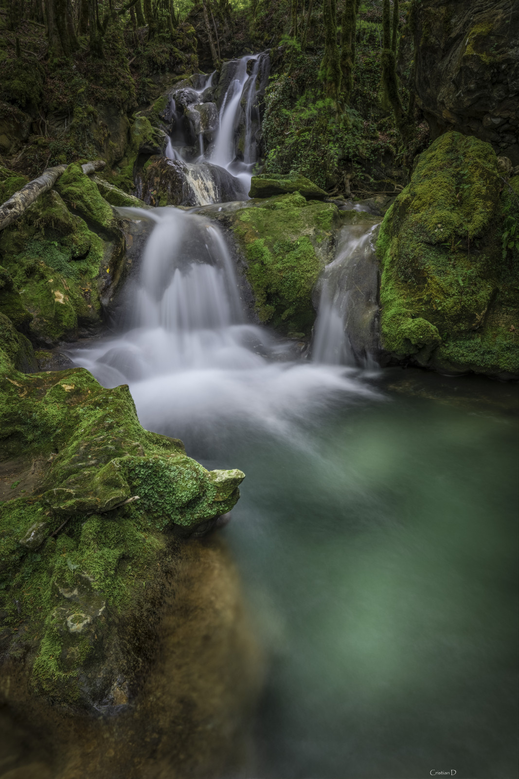 Au fil de l'eau 💧