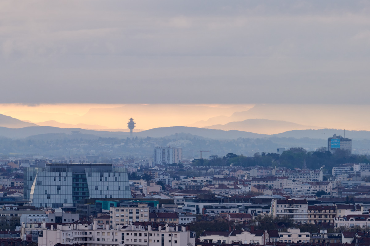 sortie levée du jour au jardin des curiosités