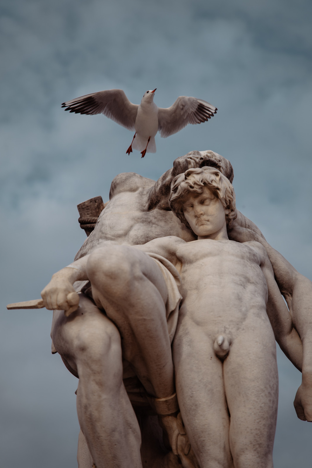 Bonjour à tous ! Publication du jour avec un timing improbable qui fait toute la beauté de cette photo je trouve ! Avec un ciel parisien qui ajoute une atmosphère un peu dramatique. Prise à Paris au jardin des tuileries.