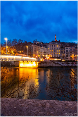 Cours photo individuel avec Nicolas et initiation ligthroom 
Plein d'informations, d’aide pour la manipulation de l'appareil et surtout ... surtout des astuces tres précieuses ... que j'oublie parfois de mettre en pratique 😜
D’où, comme disent Nicolas et Kaïto : pratiquer ... pratiquer .. pratiquer ..