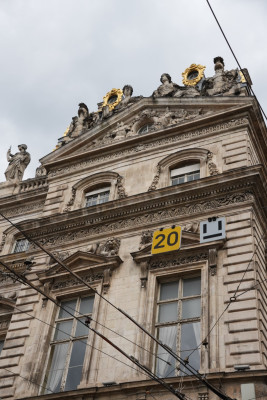 Allez je me lance mais je débute…
Du coup plutôt chasse et en l’occurrence chasse au jaune