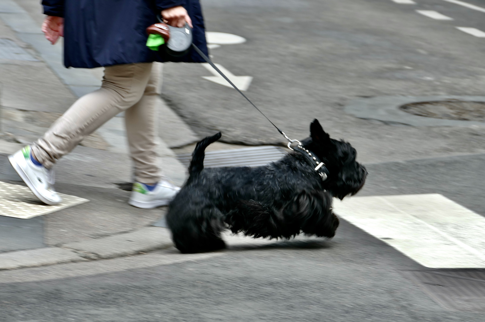 Street photo chasseur et graphique