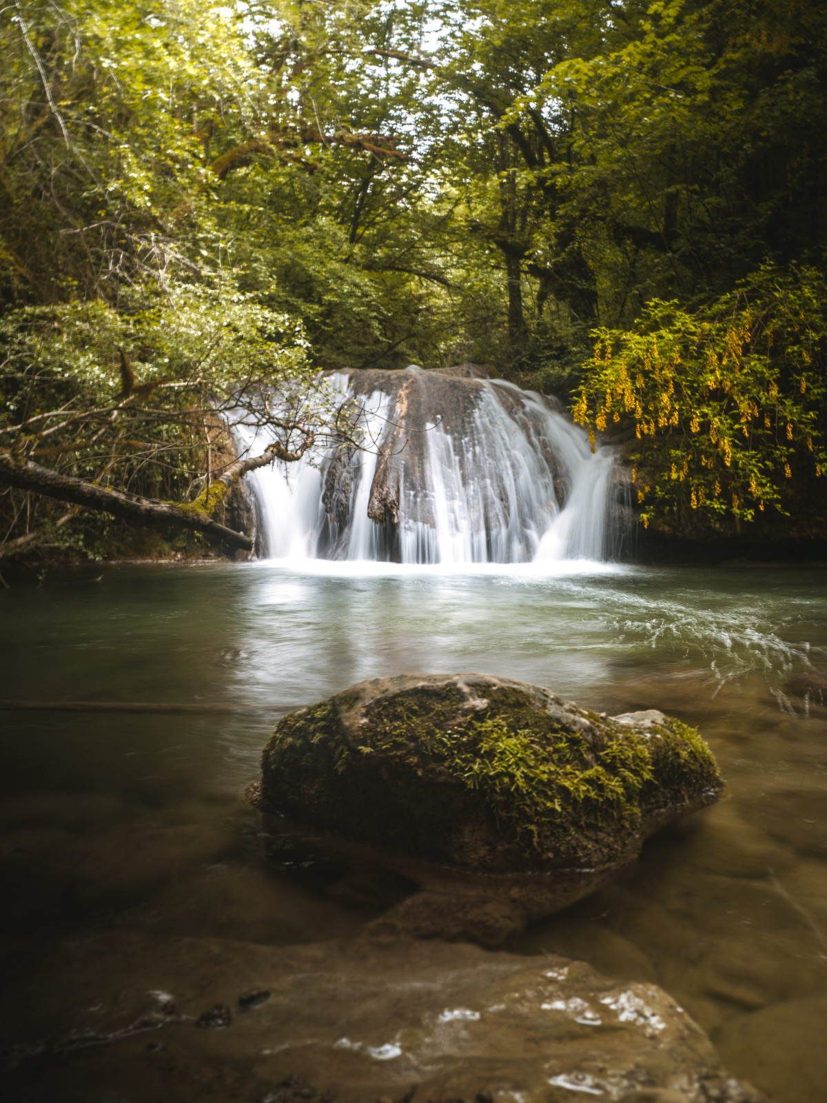 📸 Cascade de la Brive - Ain 
Spot accessible via un itinéraire d'environ 10km et 400m de dénivelé,  à seulement 1h15 de Lyon !
