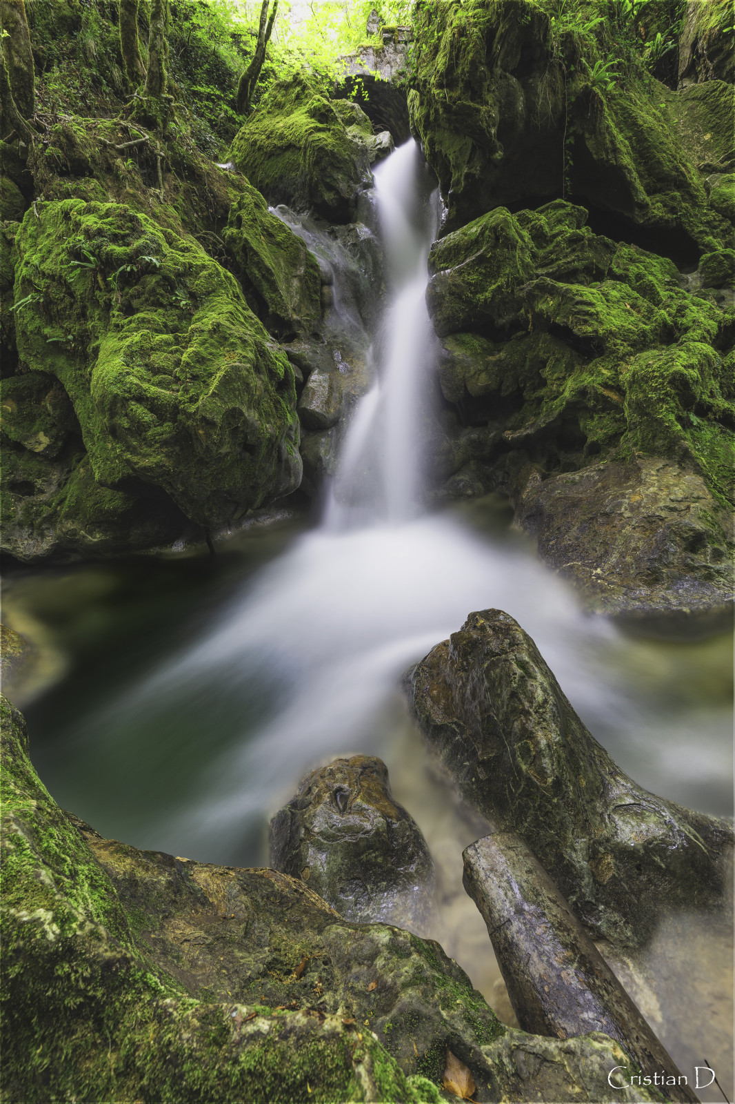 Au fil de l'eau 💧
