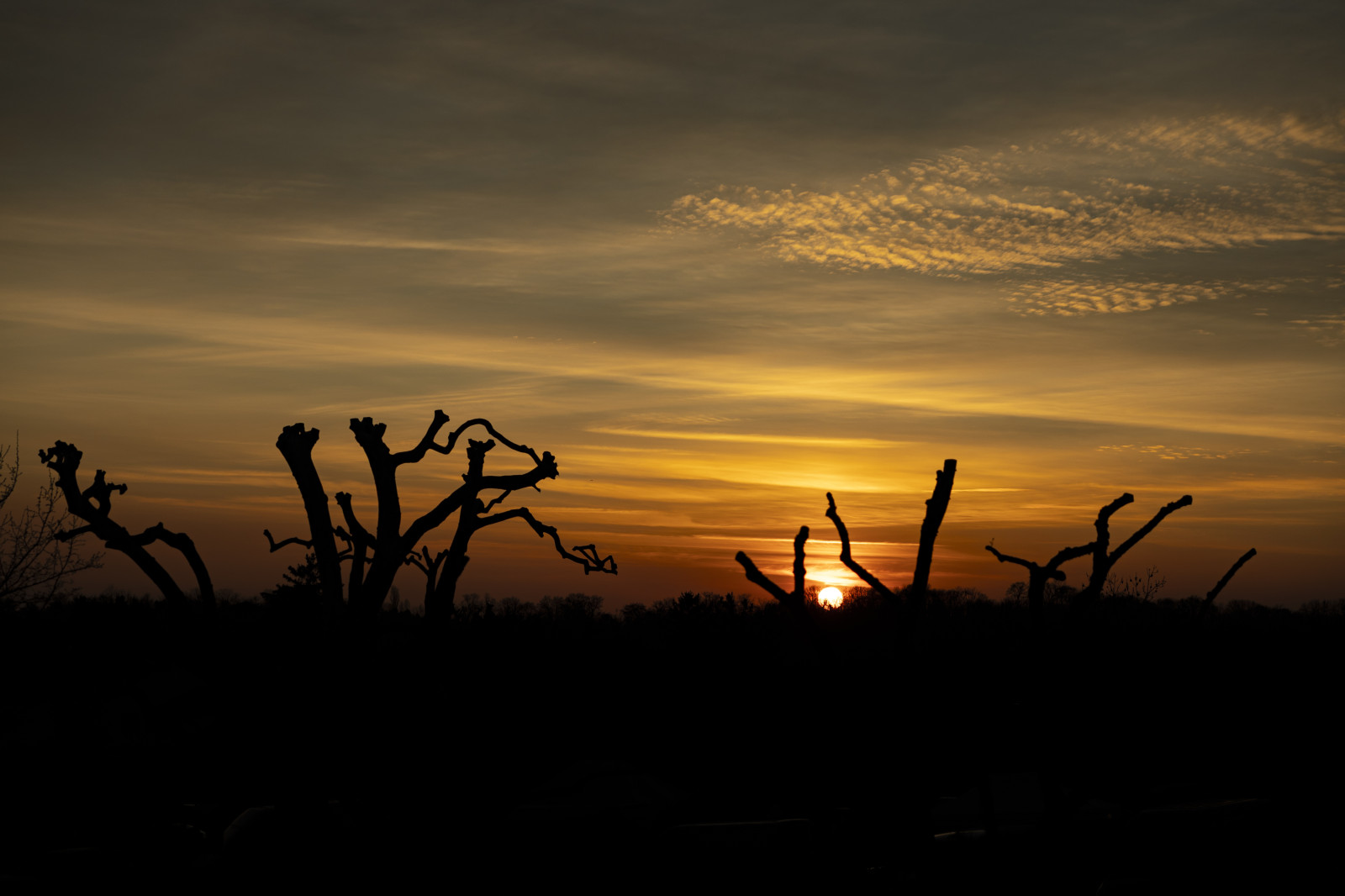 coucher de soleil lors d'une shooting de personne villette d Anthon