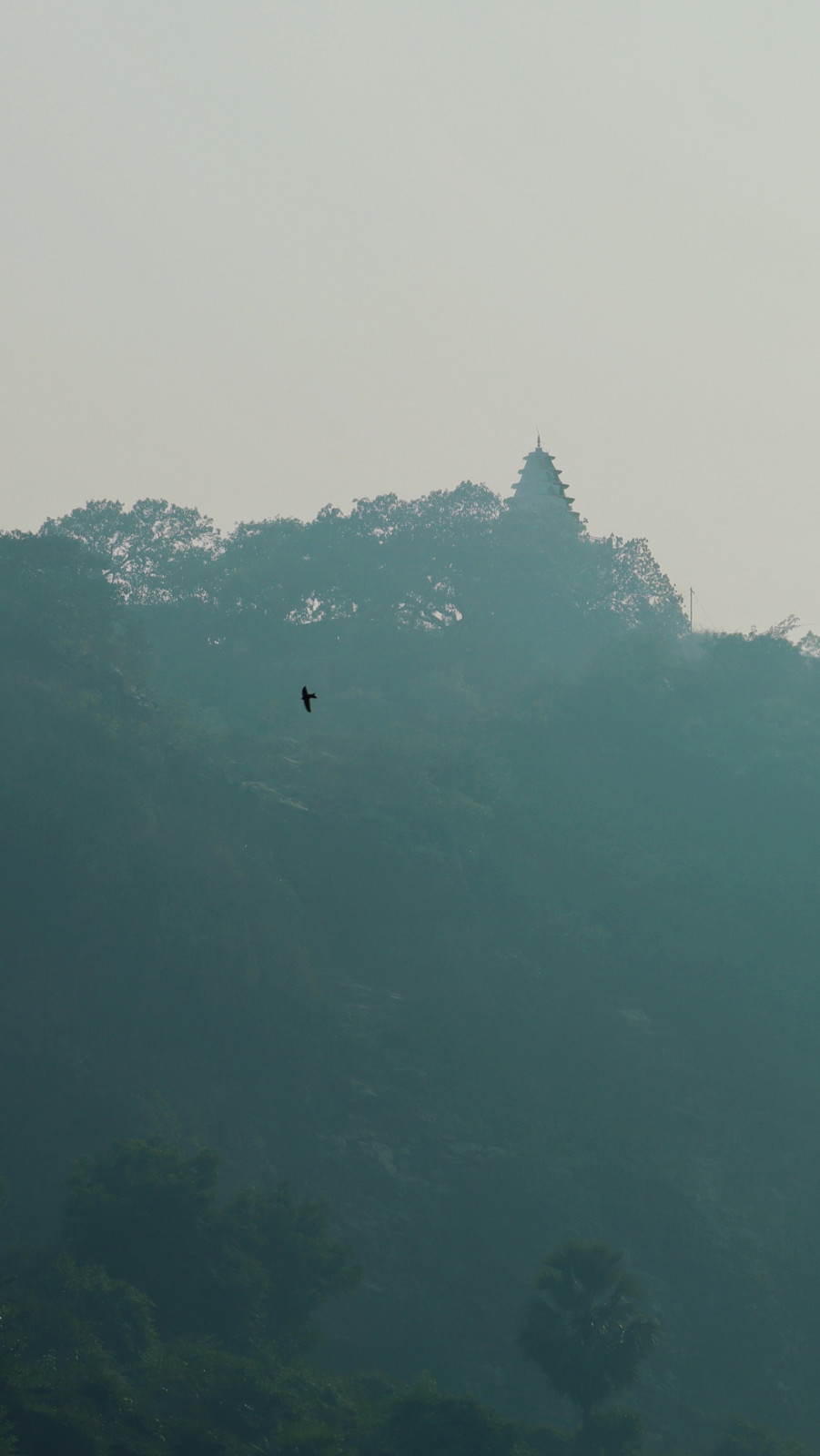 Quelques photos du voyage en Inde en janvier. Apareil Canon RP.