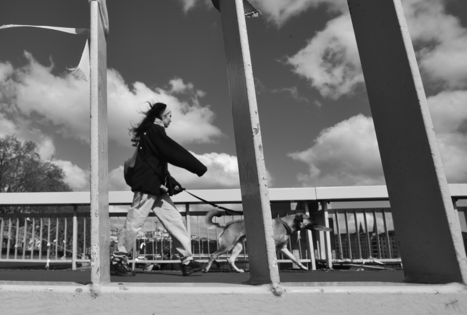 Le palais de justice, un équilibre fragile entre contrôle et liberté. Une passerelle peu-être ?