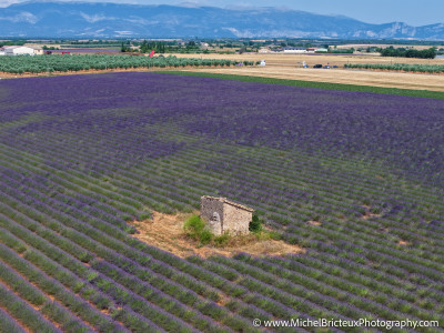 Le Plateau de Valensole offre à cette époque un spectacle grandiose
