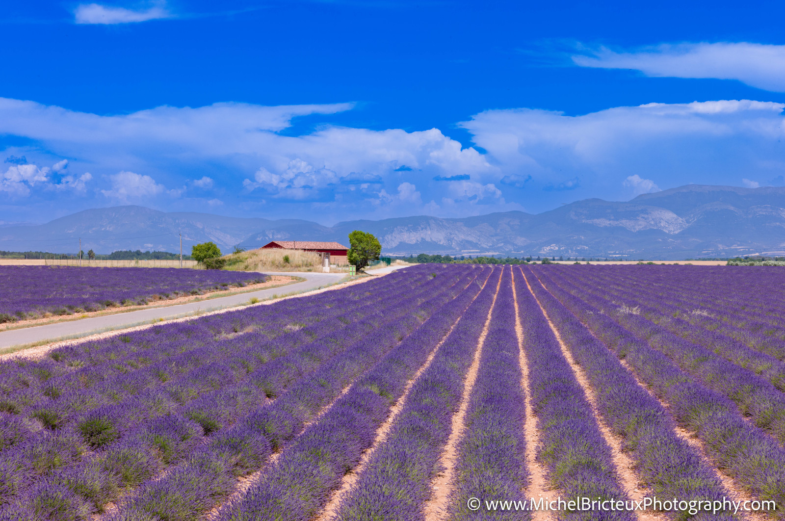 Le Plateau de Valensole offre à cette époque un spectacle grandiose