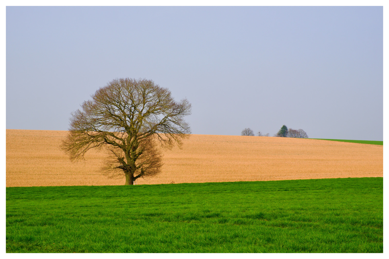 Campagne de Wallonie