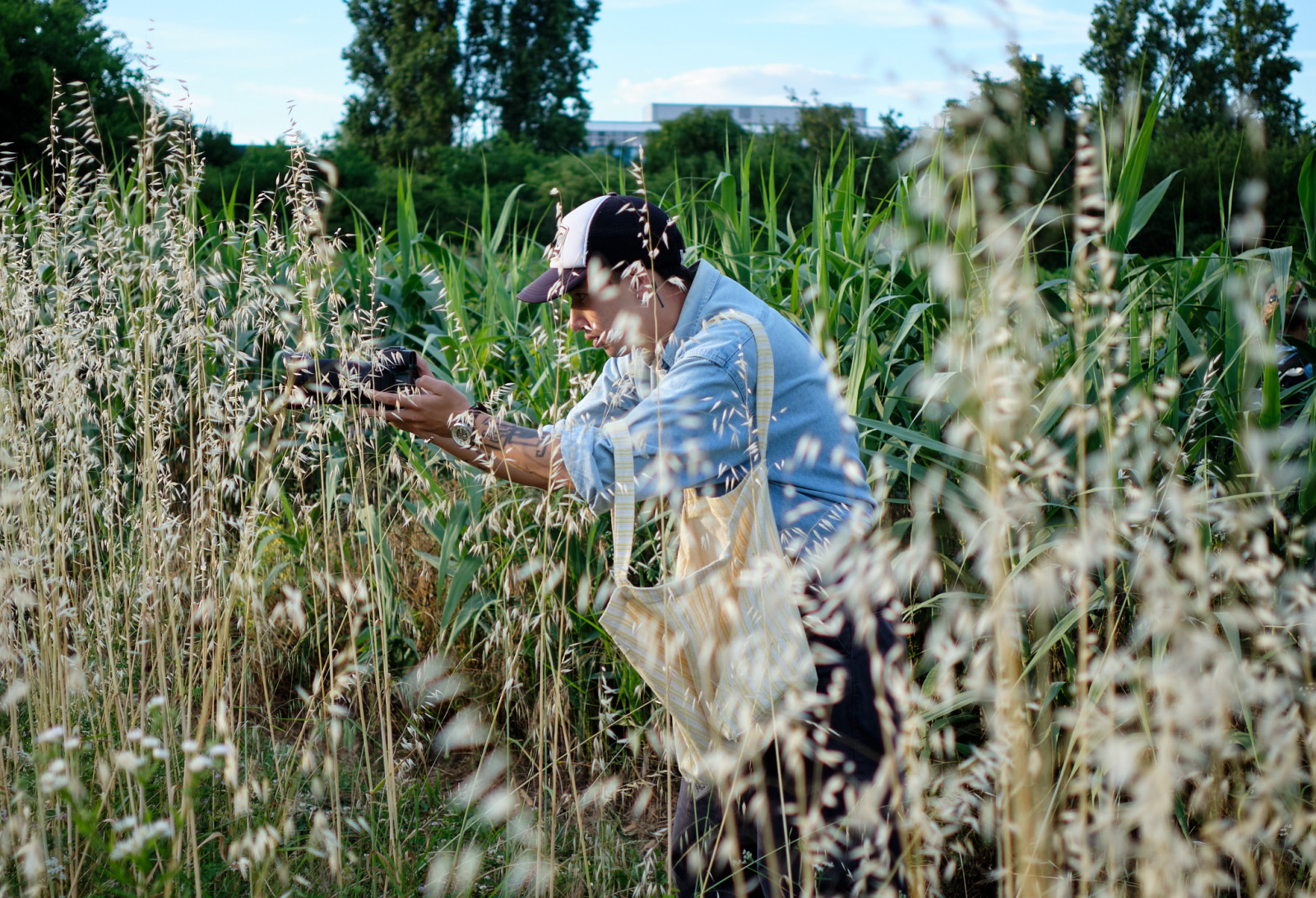 Sortie thématique: profondeur de champs. Une bien sympathique fin d'après midi