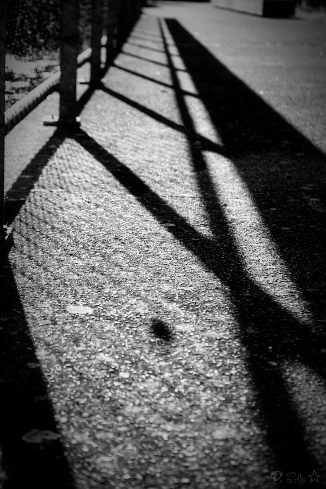 Une fin d'après midi trés ensoleillée à jouer avec les ombres .
Une super sortie  photo partagée 😊