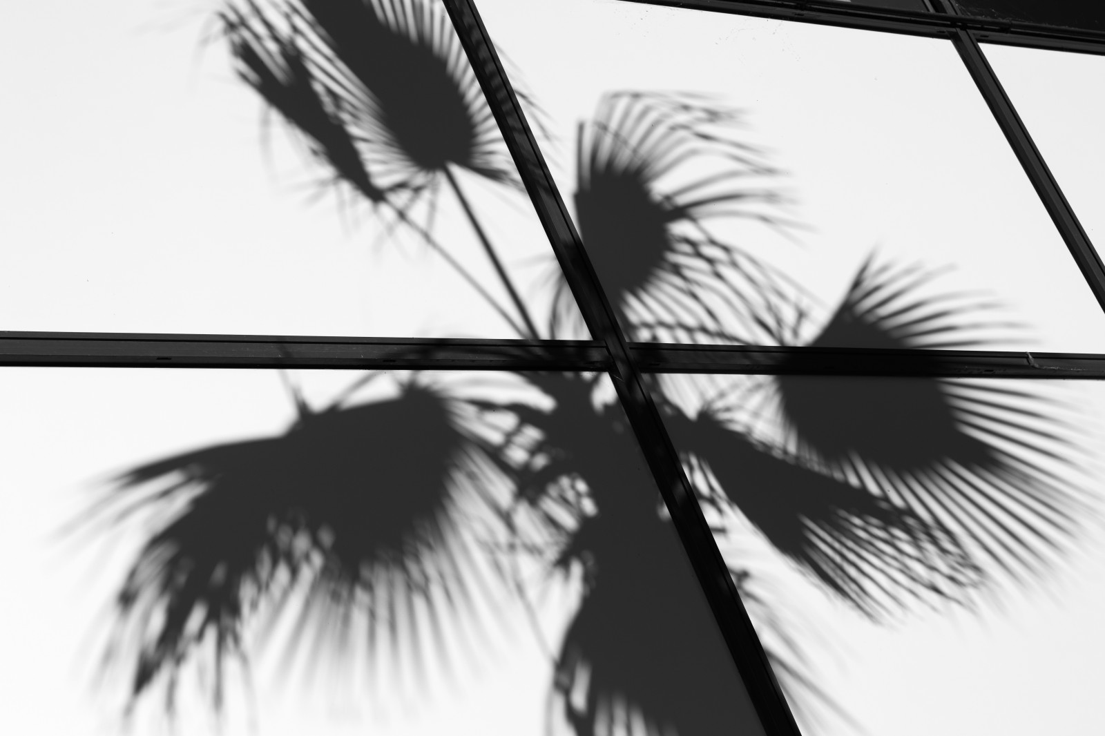 Sortie jouons avec les ombres, et une série dans le thème.