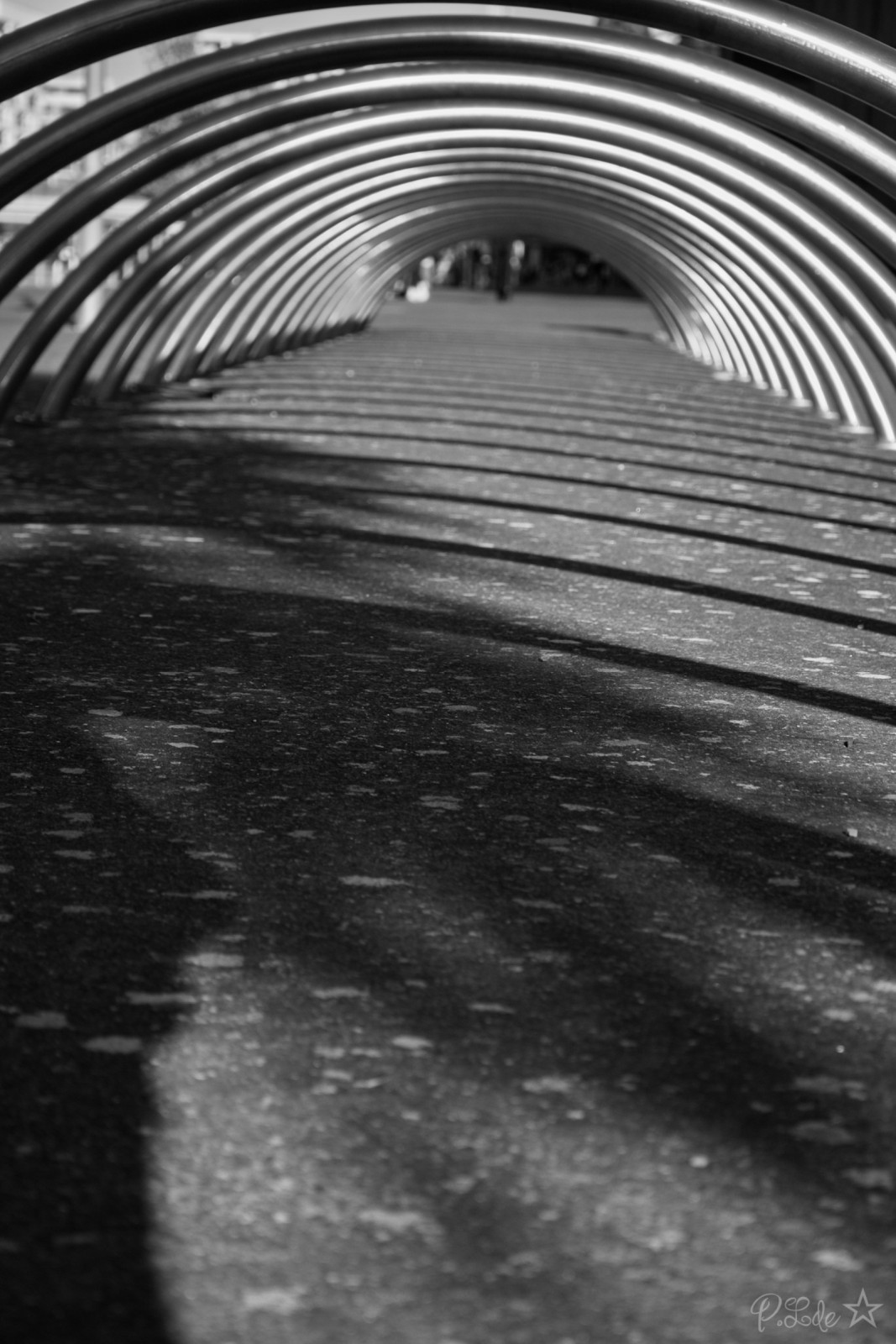 Une fin d'après midi trés ensoleillée à jouer avec les ombres .
Une super sortie  photo partagée 😊