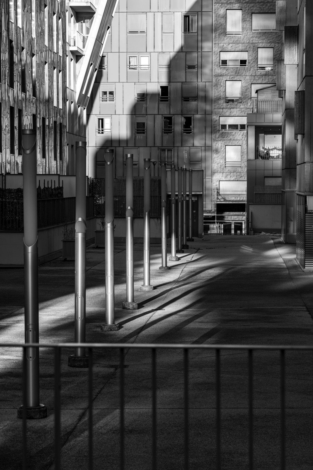 Les ombres.... d'une fin de journée d'été