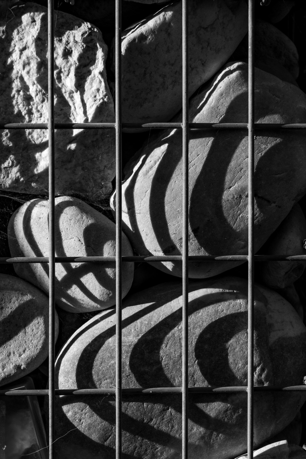 Les ombres.... d'une fin de journée d'été