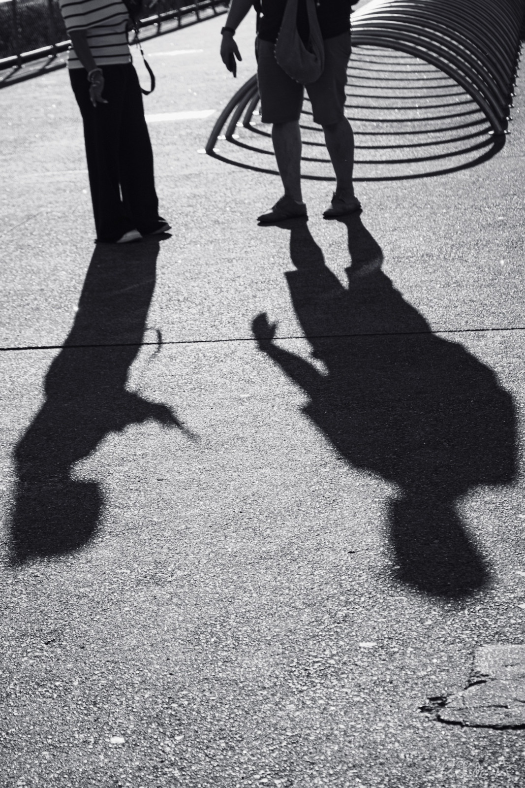 Une fin d'après midi trés ensoleillée à jouer avec les ombres .
Une super sortie  photo partagée 😊