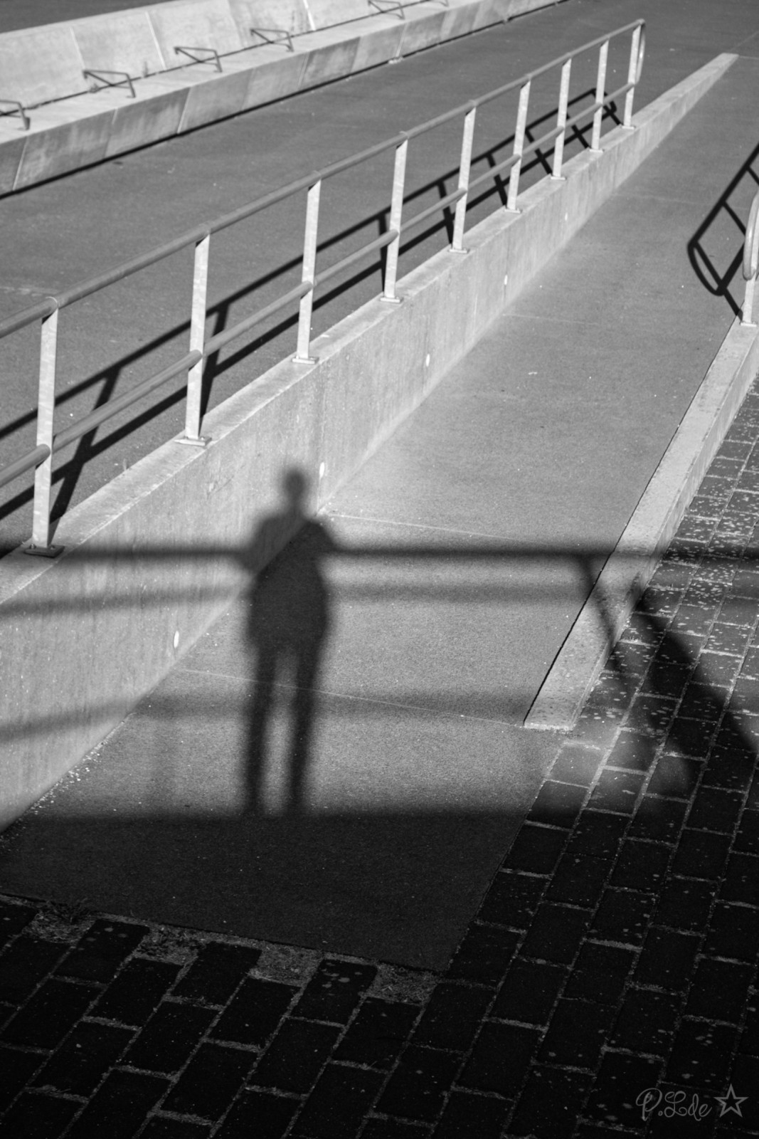 Une fin d'après midi trés ensoleillée à jouer avec les ombres .
Une super sortie  photo partagée 😊
