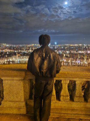 Tout Lyon