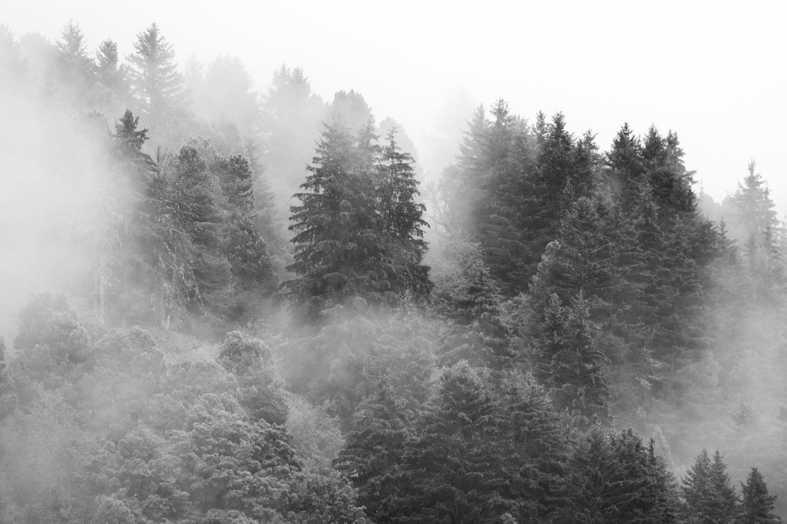 La Vanoise après l’orage 🖤🪽
