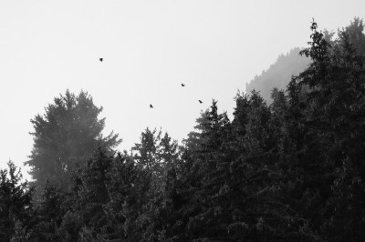 La Vanoise après l’orage 🖤🪽