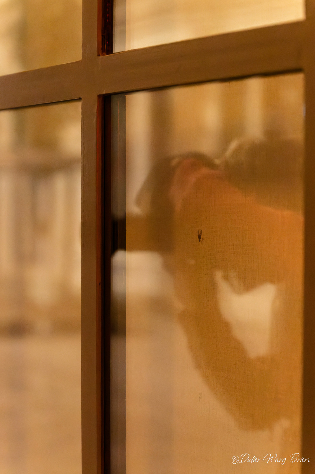 Le mérite c'est d'essayer mais visiblement je suis encore très loin de la vision de Saul Leiter mais je me suis bien amusé , merci pour cette belle ambiance .