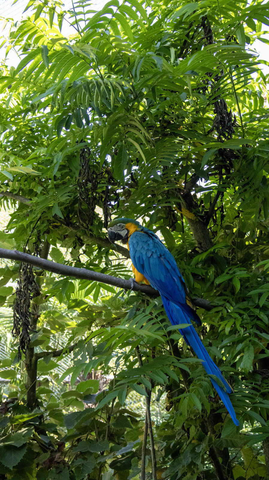 A la décoouvete du parc des oiseaux