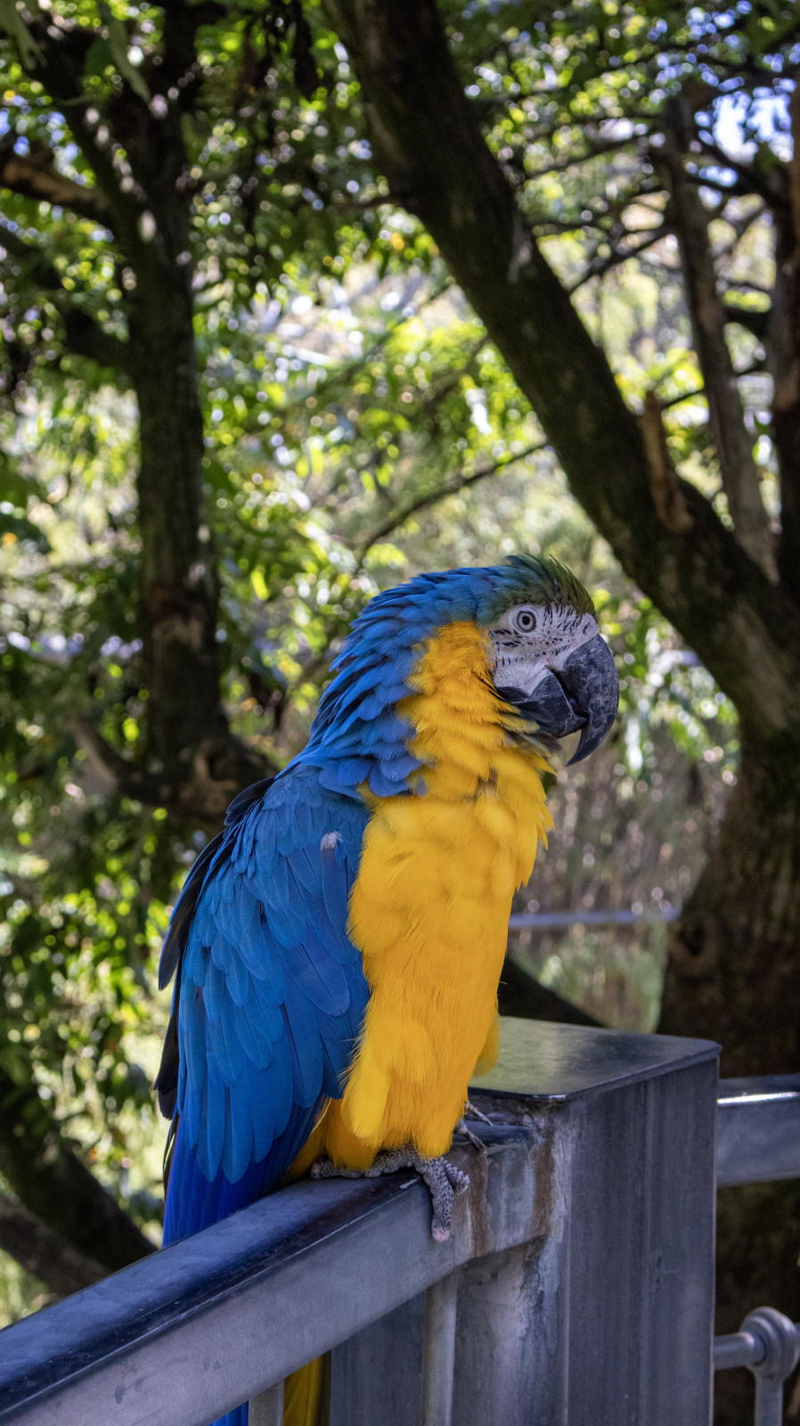 A la décoouvete du parc des oiseaux