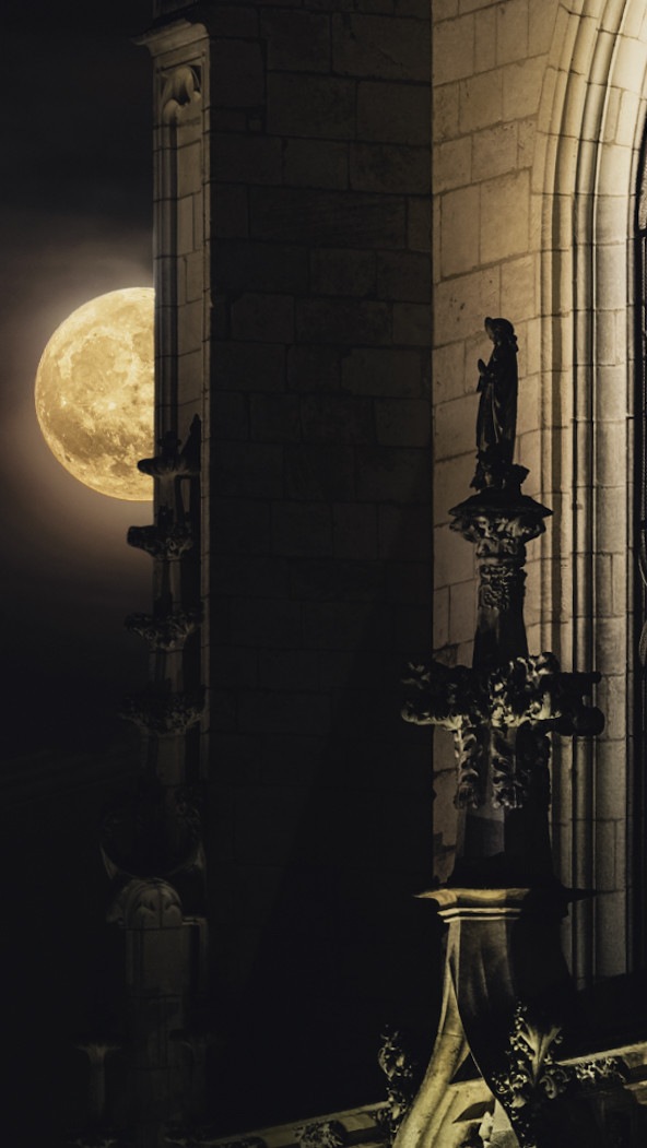 Deux photos Sont fusionnés . 
Monastère Royal de Brou 
Bourg en Bresse.