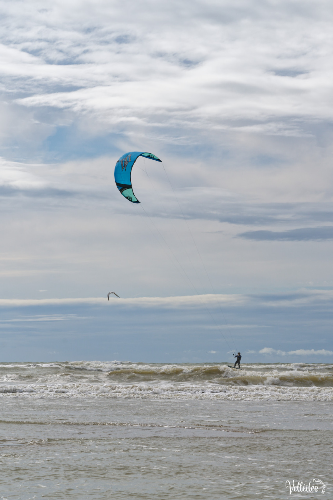 Retour de vacances en baie de Somme .
Je n’avais pas de bon objectif pour photographier les phoques et les oiseaux (mais je les ai beaucoup admirés avec les jumelles!). Tant pis il y a eu d’autres choses sympas à photographier !