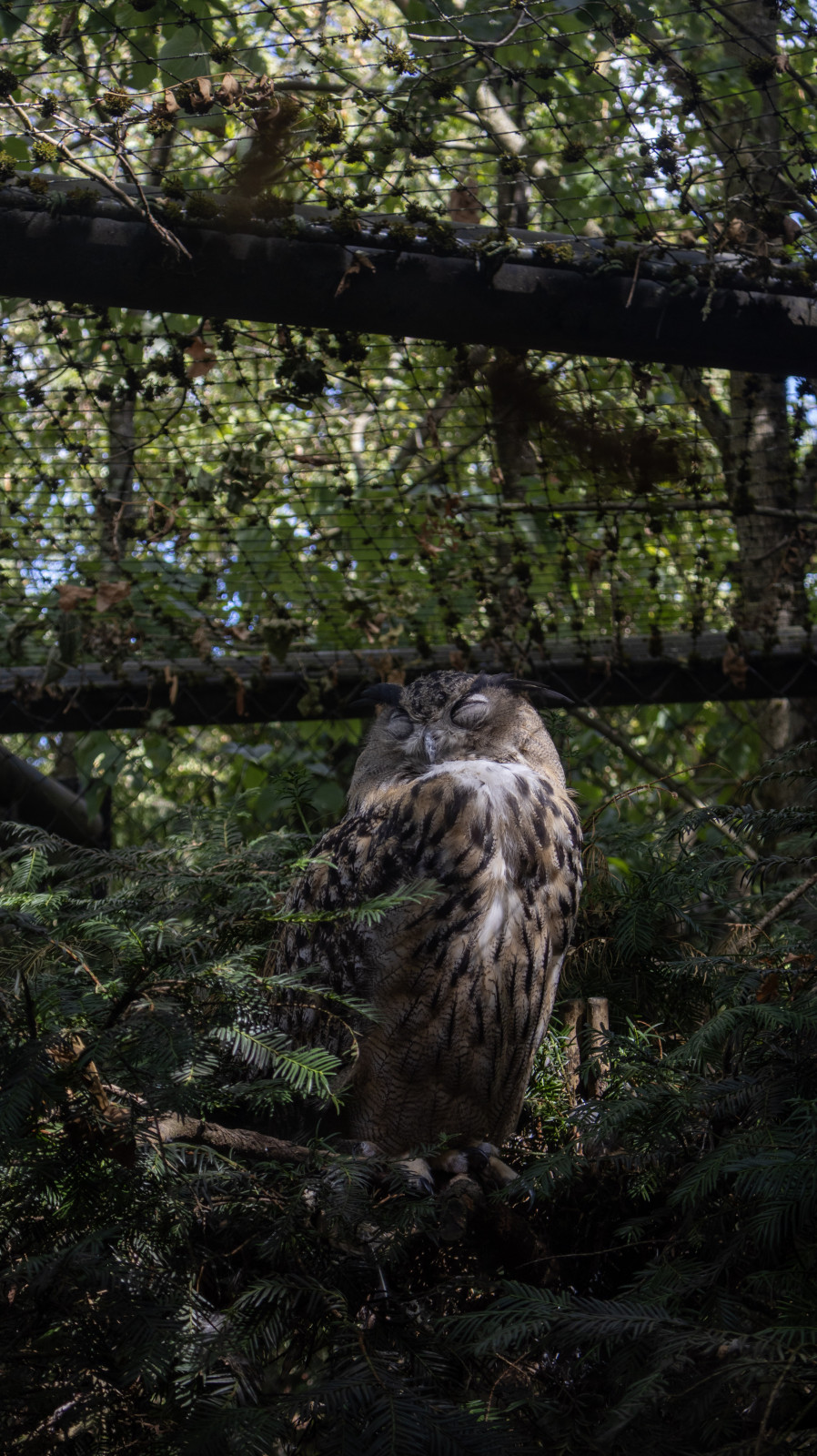 A la décoouvete du parc des oiseaux