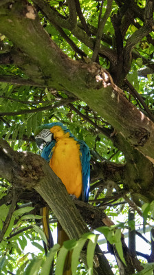 A la décoouvete du parc des oiseaux