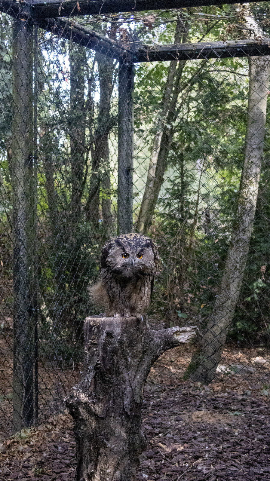 A la décoouvete du parc des oiseaux