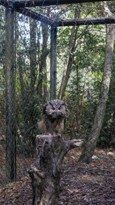 A la décoouvete du parc des oiseaux