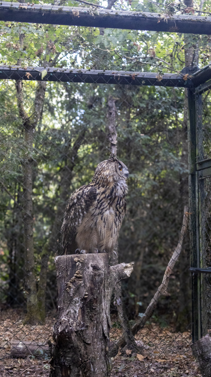 A la décoouvete du parc des oiseaux