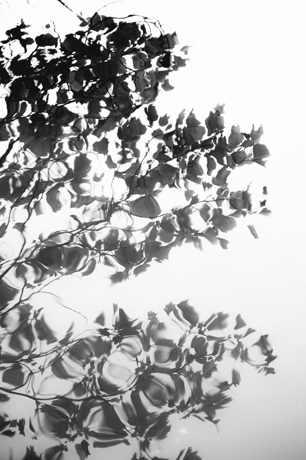 Merci aux participants qui se sont essayé à l'approche photographique de Hiroshi Sugimoto ! 

L'idée était d'utiliser le concept Japonais du "Ma" dans ses compositions, et d'exprimer la sérénité a travers ses images en épurant au maximum ses prises de vues. 

Pour ma part j'aime beaucoup me concentrer sur les détails de la vie quotidienne que les gens ne remarquent surement pas mais qui font la beauté de notre monde.