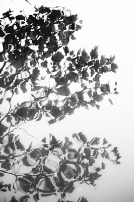 Merci aux participants qui se sont essayé à l'approche photographique de Hiroshi Sugimoto ! 

L'idée était d'utiliser le concept Japonais du "Ma" dans ses compositions, et d'exprimer la sérénité a travers ses images en épurant au maximum ses prises de vues. 

Pour ma part j'aime beaucoup me concentrer sur les détails de la vie quotidienne que les gens ne remarquent surement pas mais qui font la beauté de notre monde.