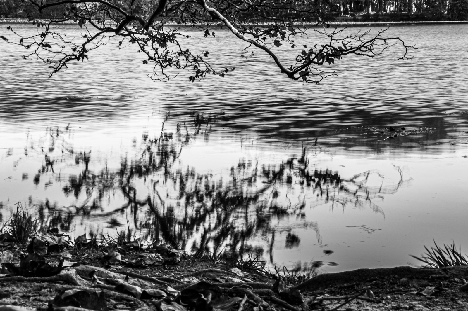 Sur le thème de l’initiation à la photo à la manière de Hiroshi Sugimoto avec tout les bons conseils d’approche voir apprentissage de cette philosophie photographique. .