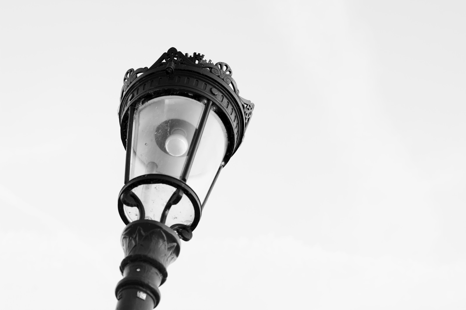 J'ai beaucoup aimé cette expérience, qui demandera d'être retravaillée et approfondie. Finalement, pour la feuille, je préfère tout de même la version couleurs avec cette photo...