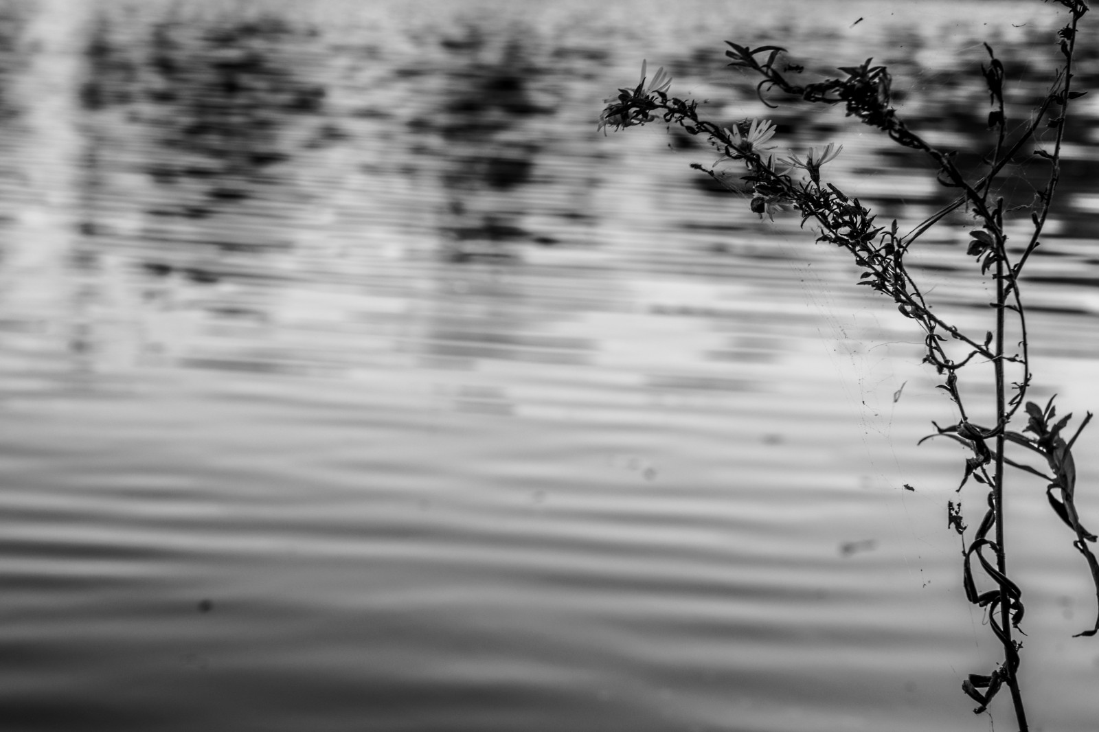 Sur le thème de l’initiation à la photo à la manière de Hiroshi Sugimoto avec tout les bons conseils d’approche voir apprentissage de cette philosophie photographique. .