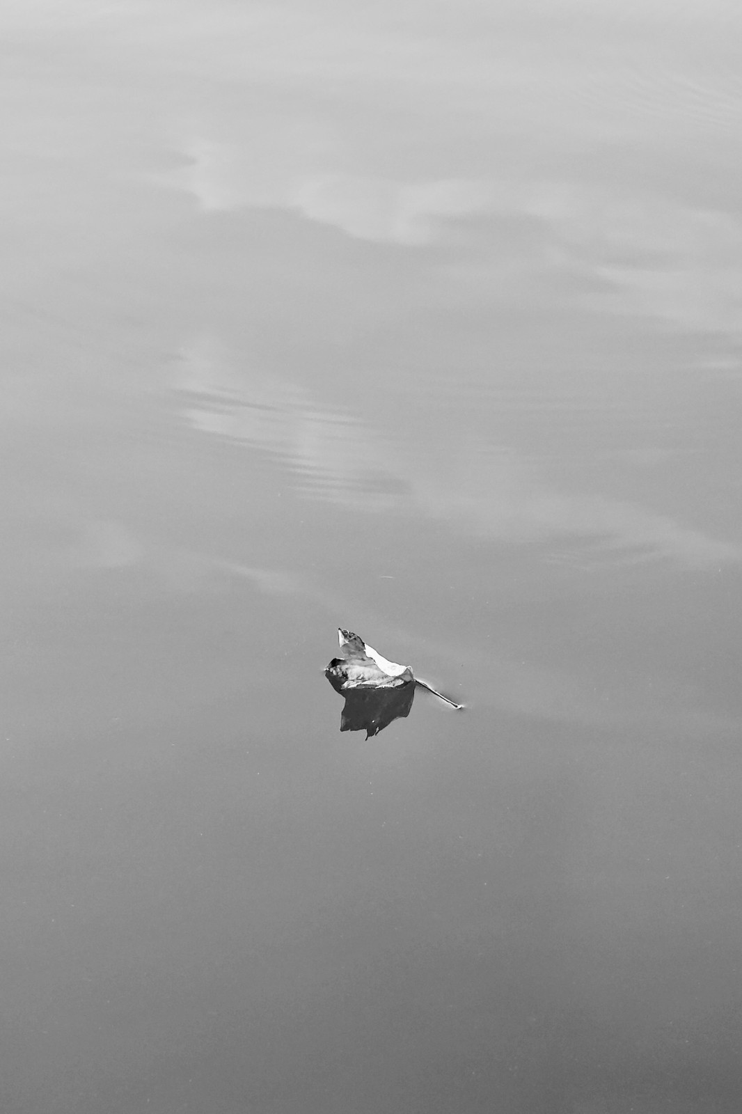 Photo de Laure prise pendant Initiation photo à la manière de Hiroshi Sugimoto