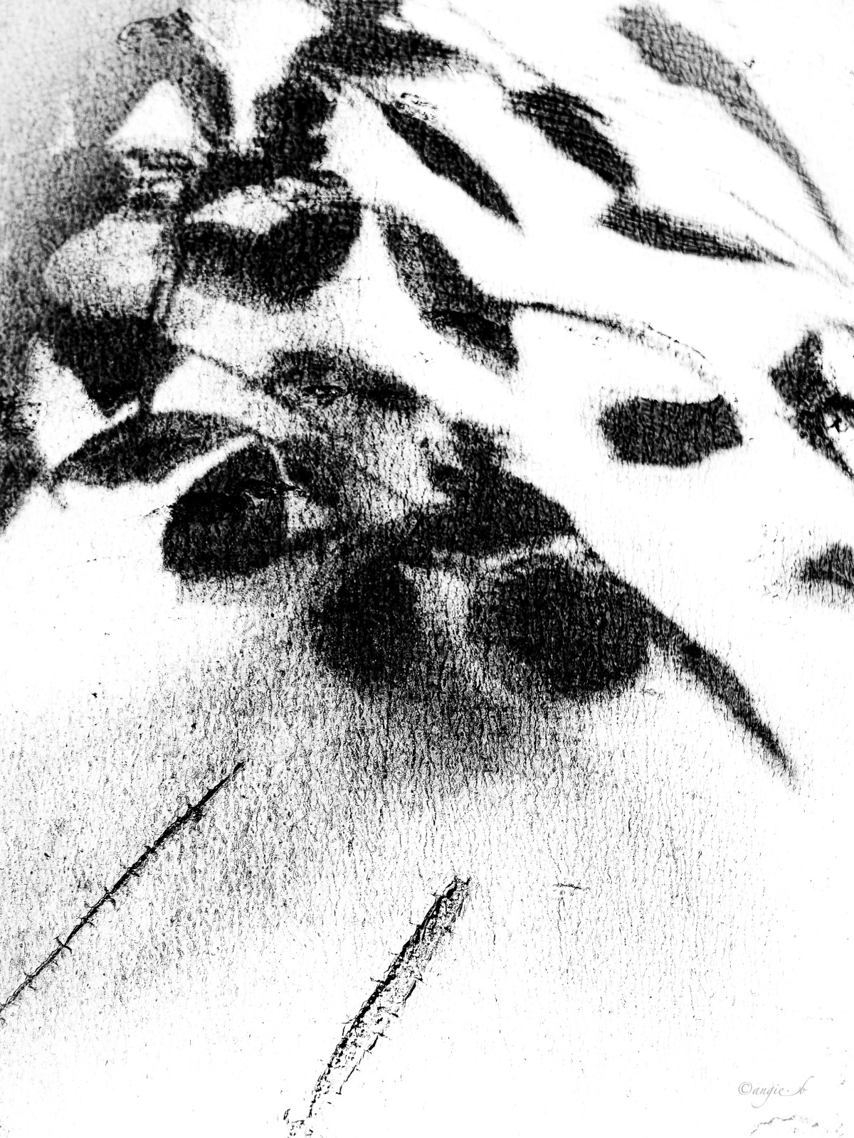 Sortie à la manière de Hiroshi Sujimoto. TENTATIVE minimaliste. Tiré de son environnement, l' objet est mis en valeur par un fond noir ou blanc et suscite une perception différente. 
Merci Kaïto !