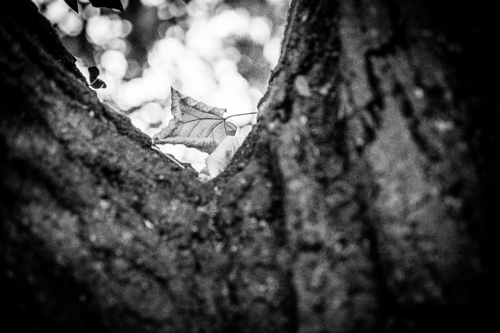 Sur le thème de l’initiation à la photo à la manière de Hiroshi Sugimoto avec tout les bons conseils d’approche voir apprentissage de cette philosophie photographique. .
