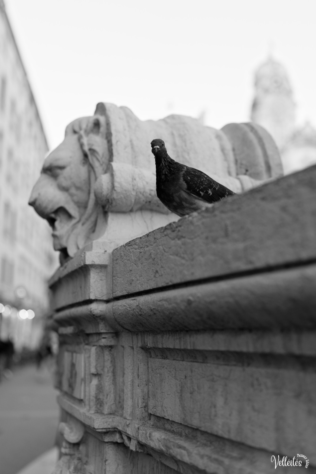 Rue, anecdotes et détails
