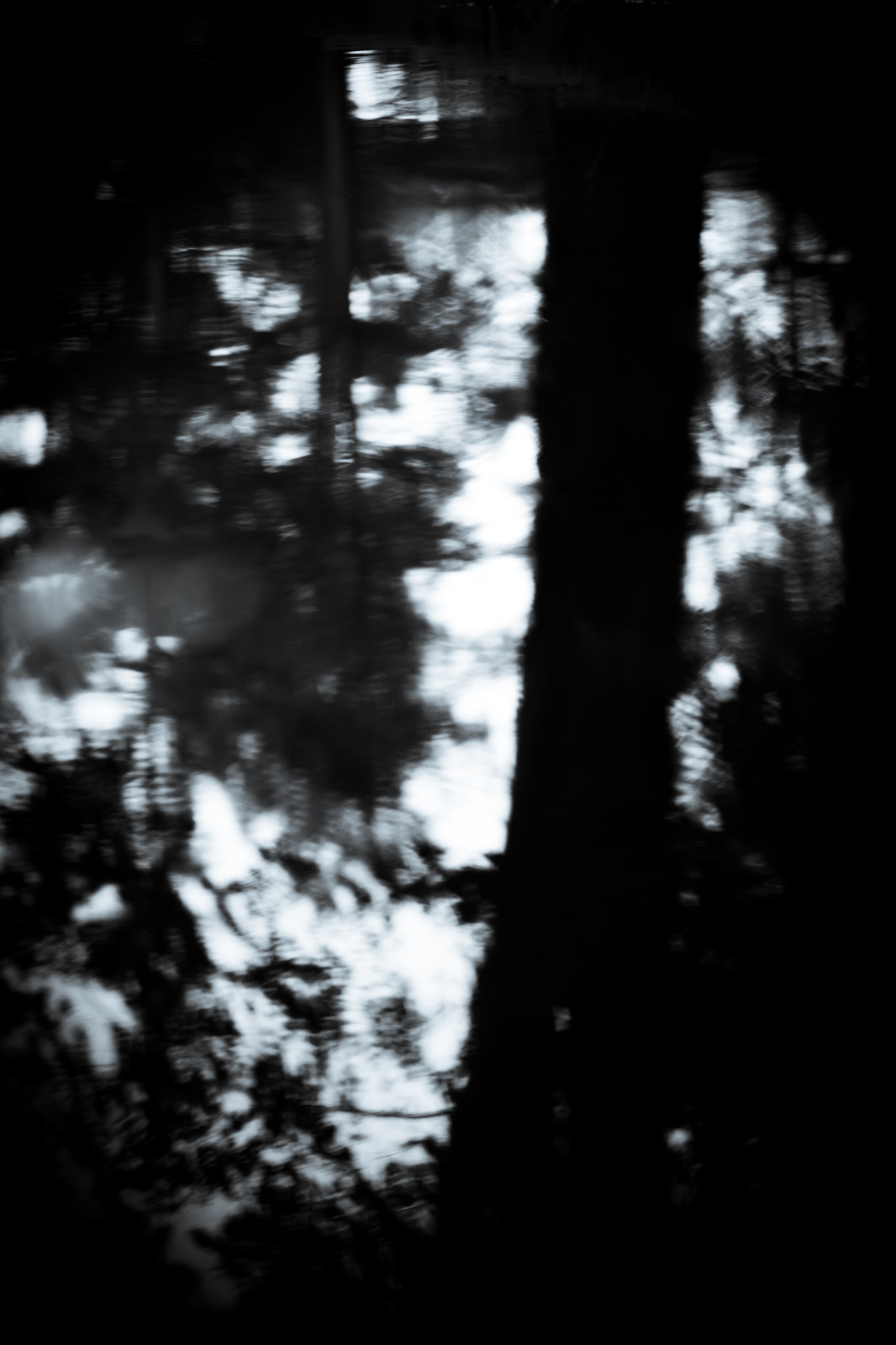 Sur le thème de l’initiation à la photo à la manière de Hiroshi Sugimoto avec tout les bons conseils d’approche voir apprentissage de cette philosophie photographique. .